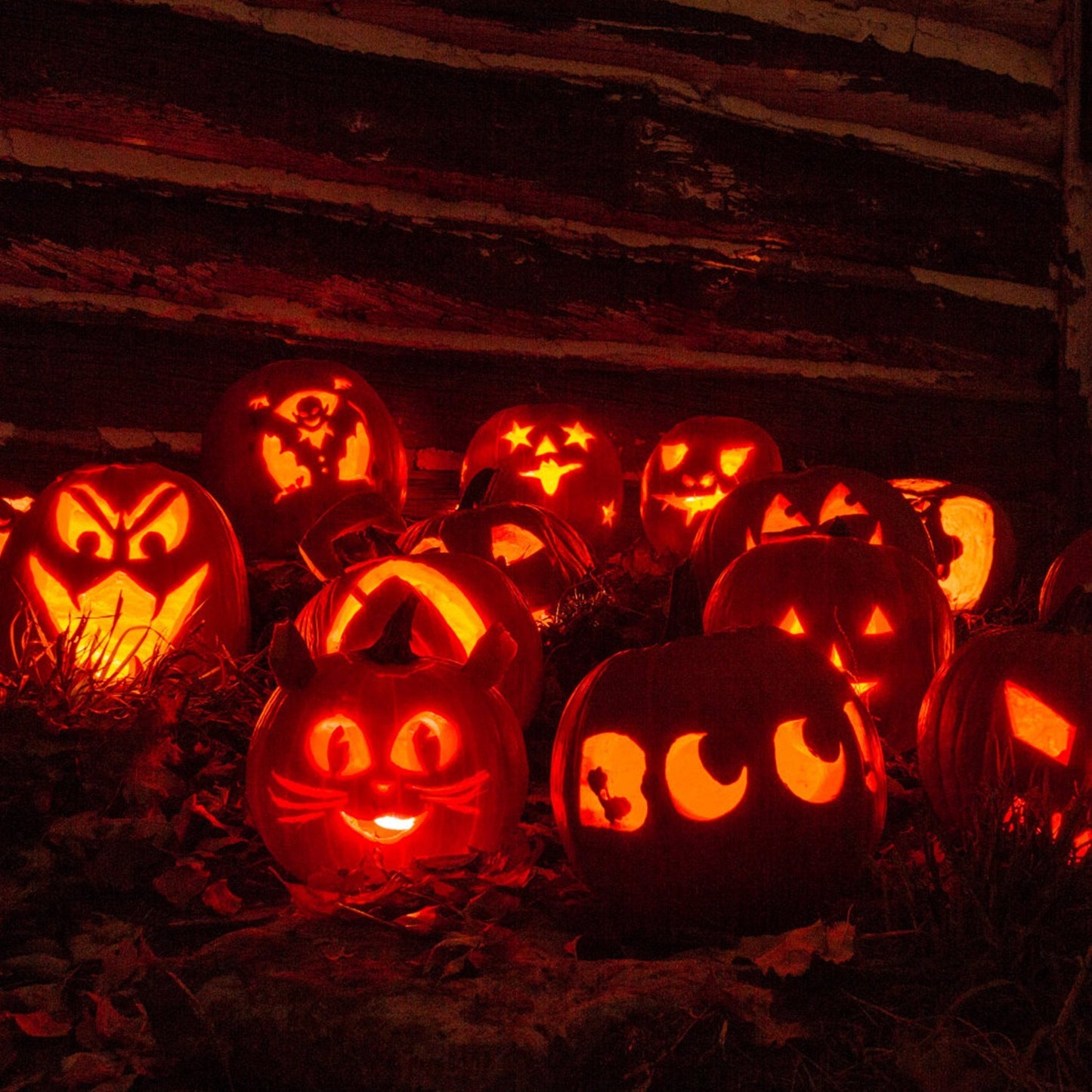 Pumpkin Carving Kit